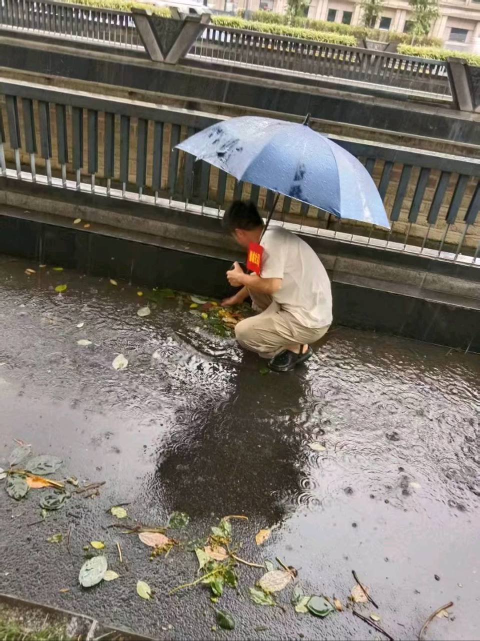 用热情, 人人参与的 用热情, 人人参与的