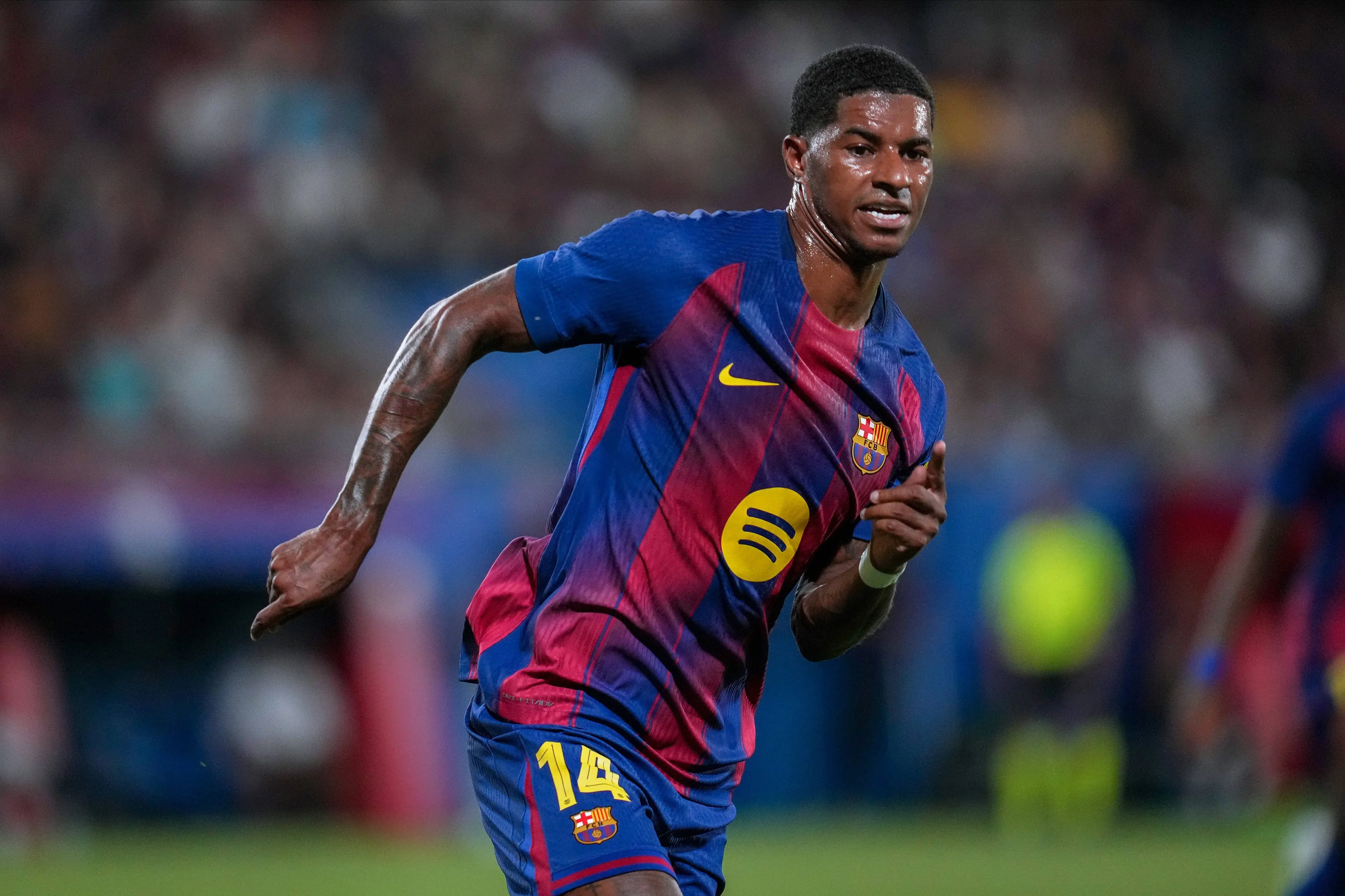 该专注于恢, 他在对阵瓦